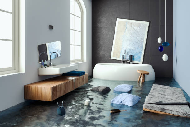 Best Water damage cleanup near me  in Galva, KS