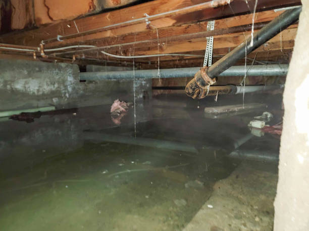 Local water damage restoration in Galva, KS