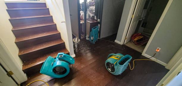 Best Ceiling water damage repair  in Galva, KS
