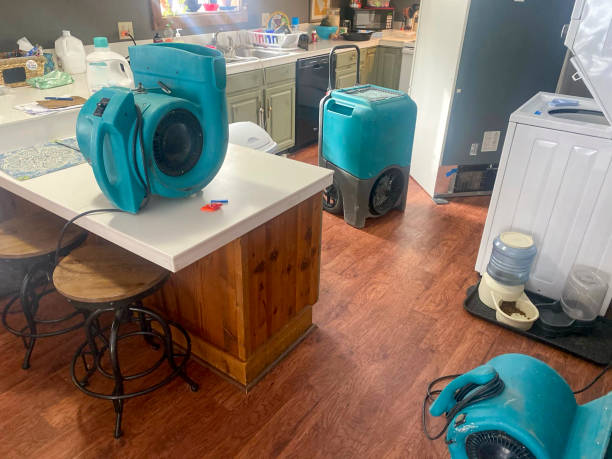 Best Water damage restoration near me  in Galva, KS