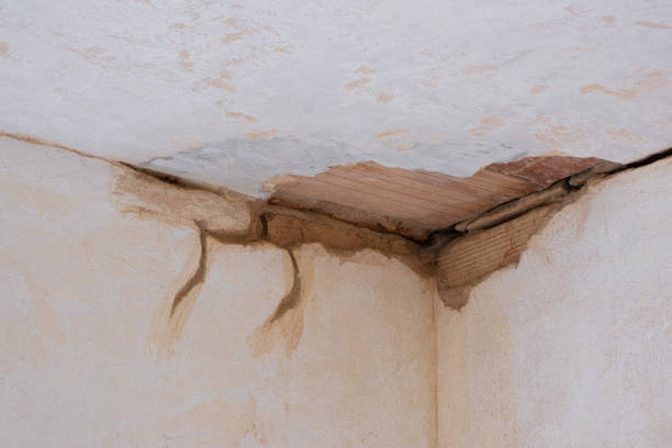 Best Local water damage restoration  in Galva, KS