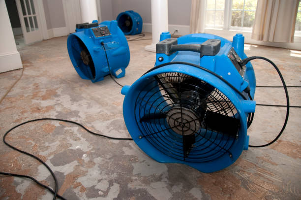 Best Residential water damage restoration  in Galva, KS