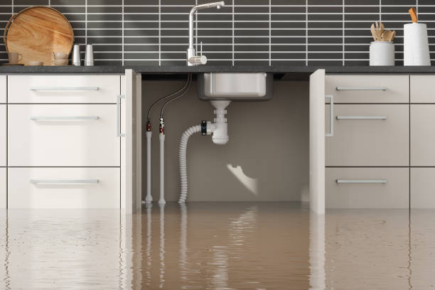 Best Flood damage cleanup  in Galva, KS